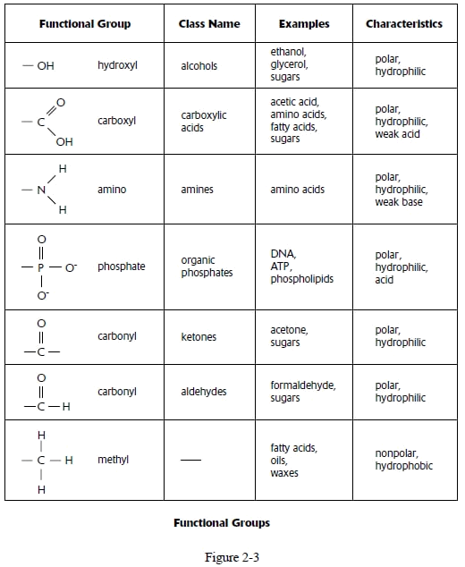 Phosphate Functional Group Example