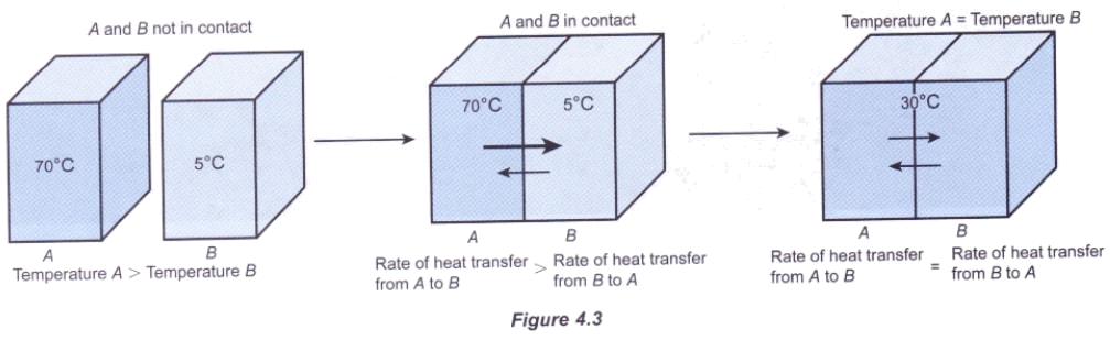 Equilibrium thermal What is
